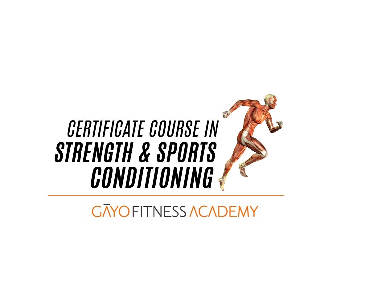 01. CCSSC logo